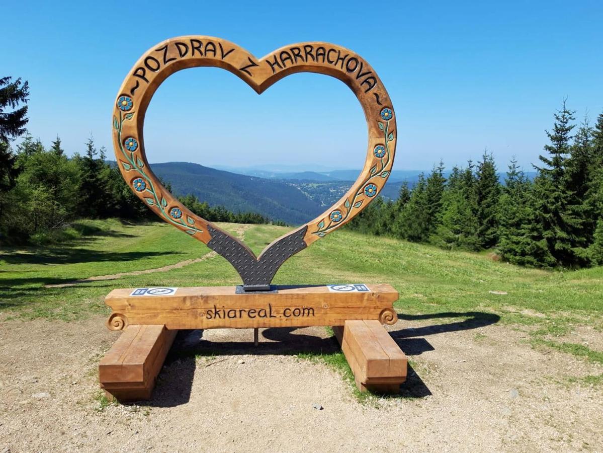 Enjoyharrachov - Atraktivni Slunny Klimatizovany Apartman 14 V Centru Harrachova Se Saunou, Parkovanim, Wifi-Wlan, Sat, Herni Konzoli, Pc S Win 10, Netflix Zdarma A Moznosti Dobijeni Auta S Jedinecnym Vyhledem Na Certovu Horu Se Skokanskymi Mustky Exterior foto