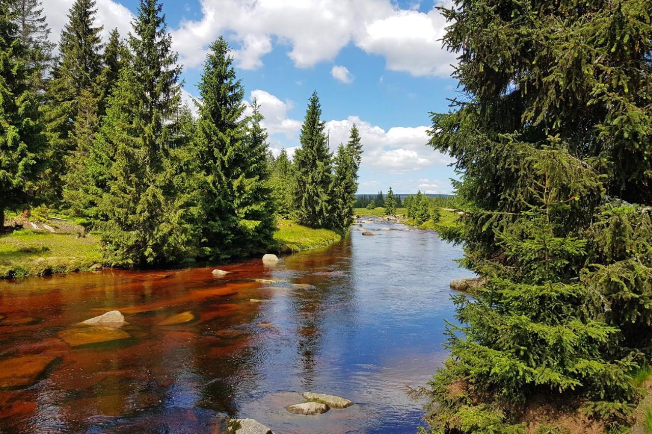 Enjoyharrachov - Atraktivni Slunny Klimatizovany Apartman 14 V Centru Harrachova Se Saunou, Parkovanim, Wifi-Wlan, Sat, Herni Konzoli, Pc S Win 10, Netflix Zdarma A Moznosti Dobijeni Auta S Jedinecnym Vyhledem Na Certovu Horu Se Skokanskymi Mustky Exterior foto